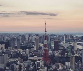 艾力枫社